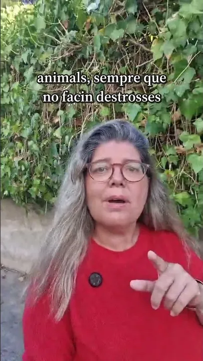 El teu gos et pot fer perdre el pis