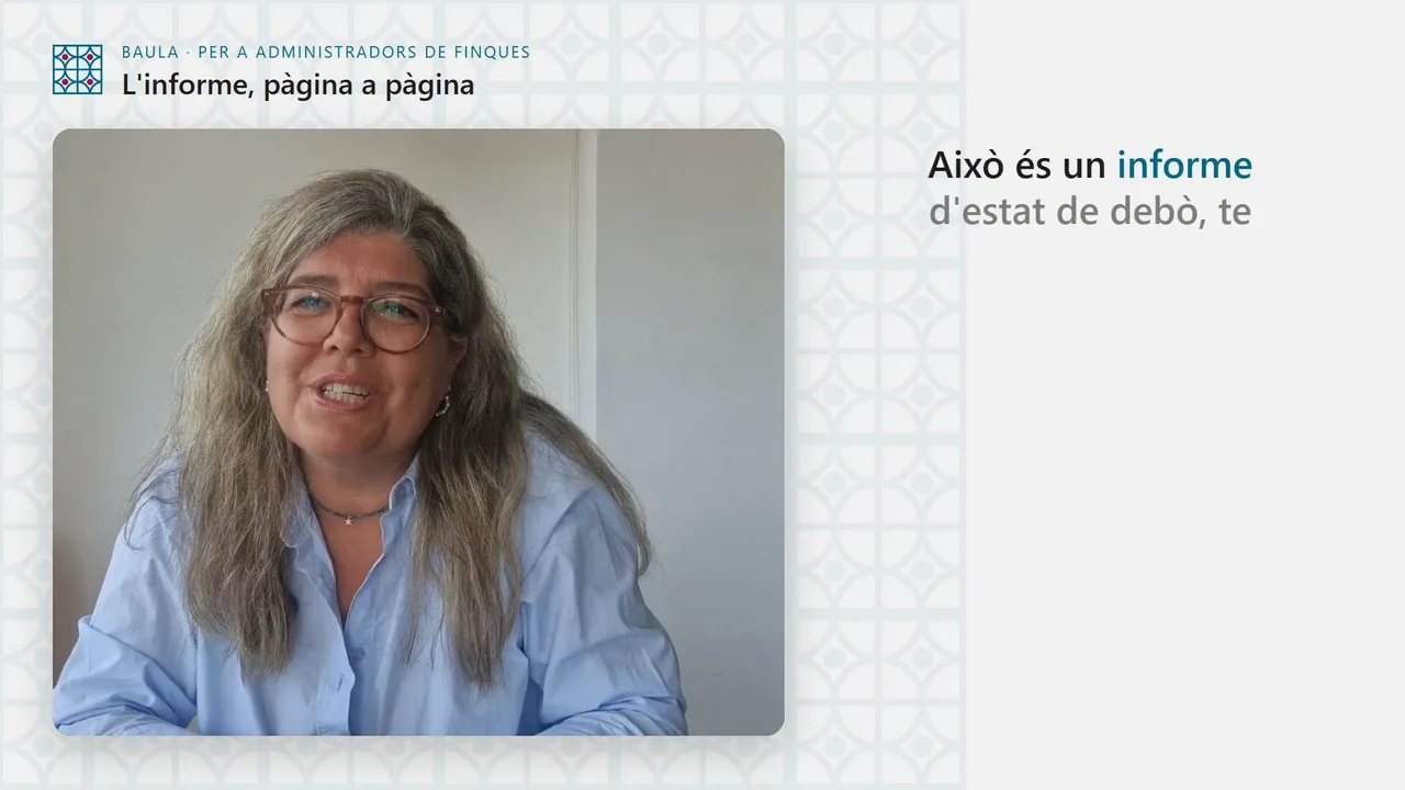 L'informe, pàgina a pàgina